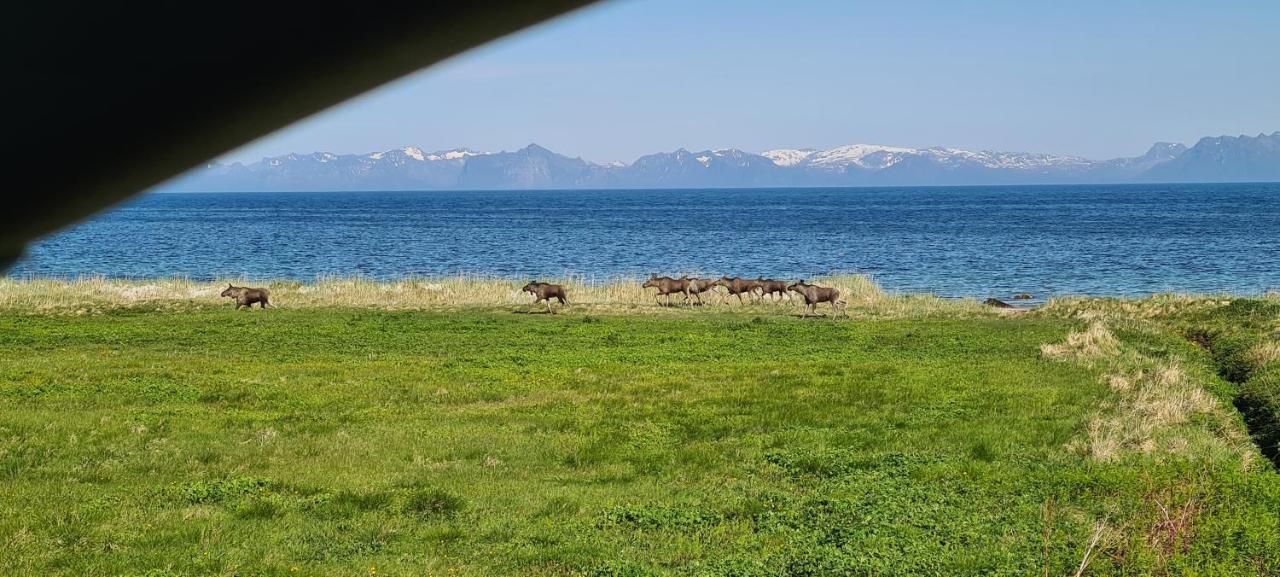 Solheim Guesthouse Dverberg Bagian luar foto